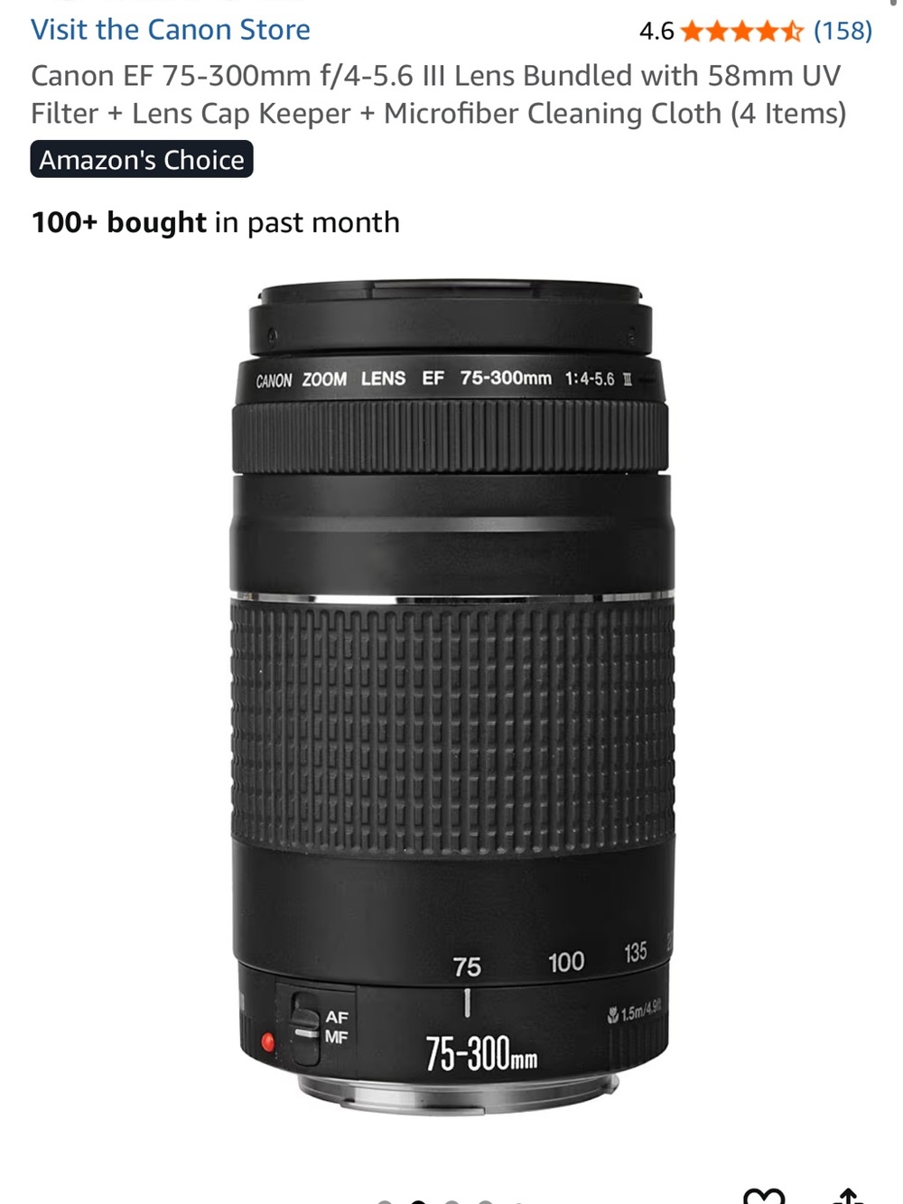 Canon 75-300mm Telephoto Zoom Lens in Black